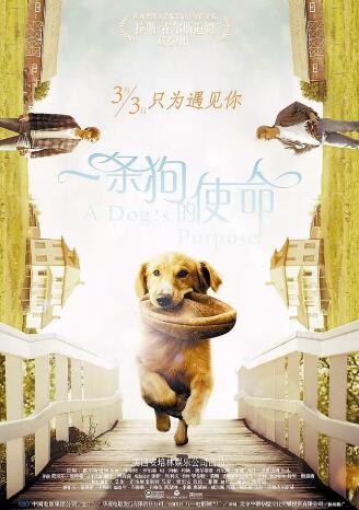 觀影活動